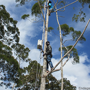 The CCN1 – named for "community cellular network"